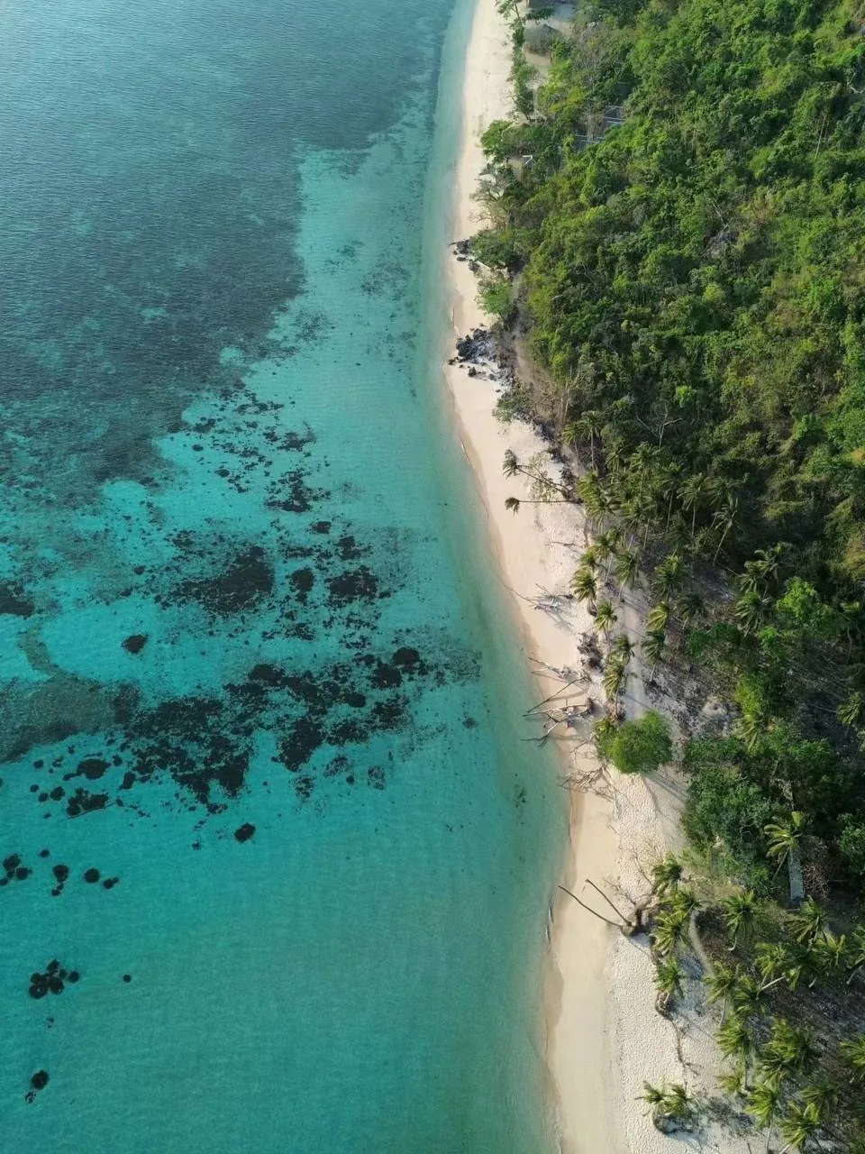 White-sand beach with clear turquoise water in Palawan
