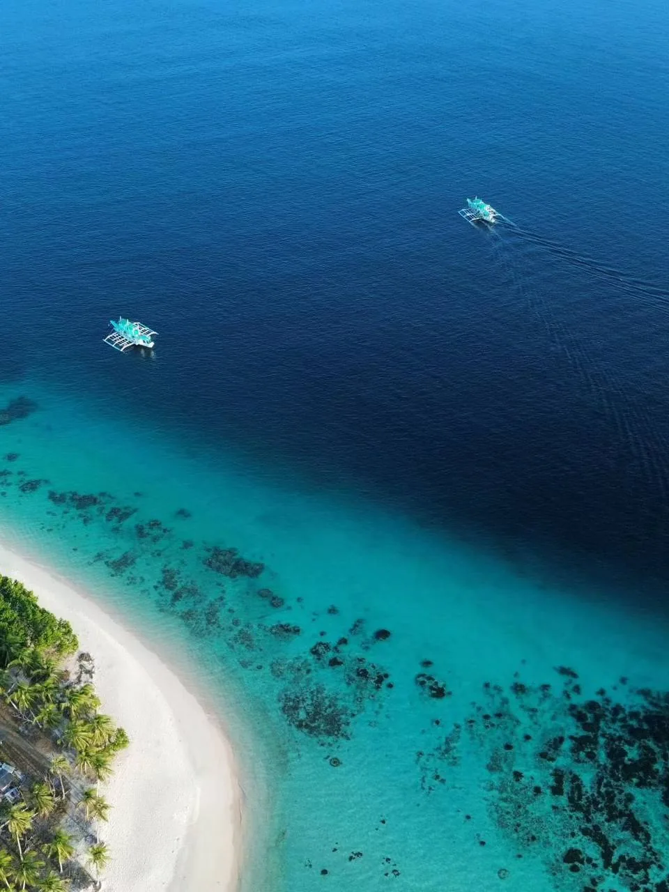 Palawan shoreline and tropical coast