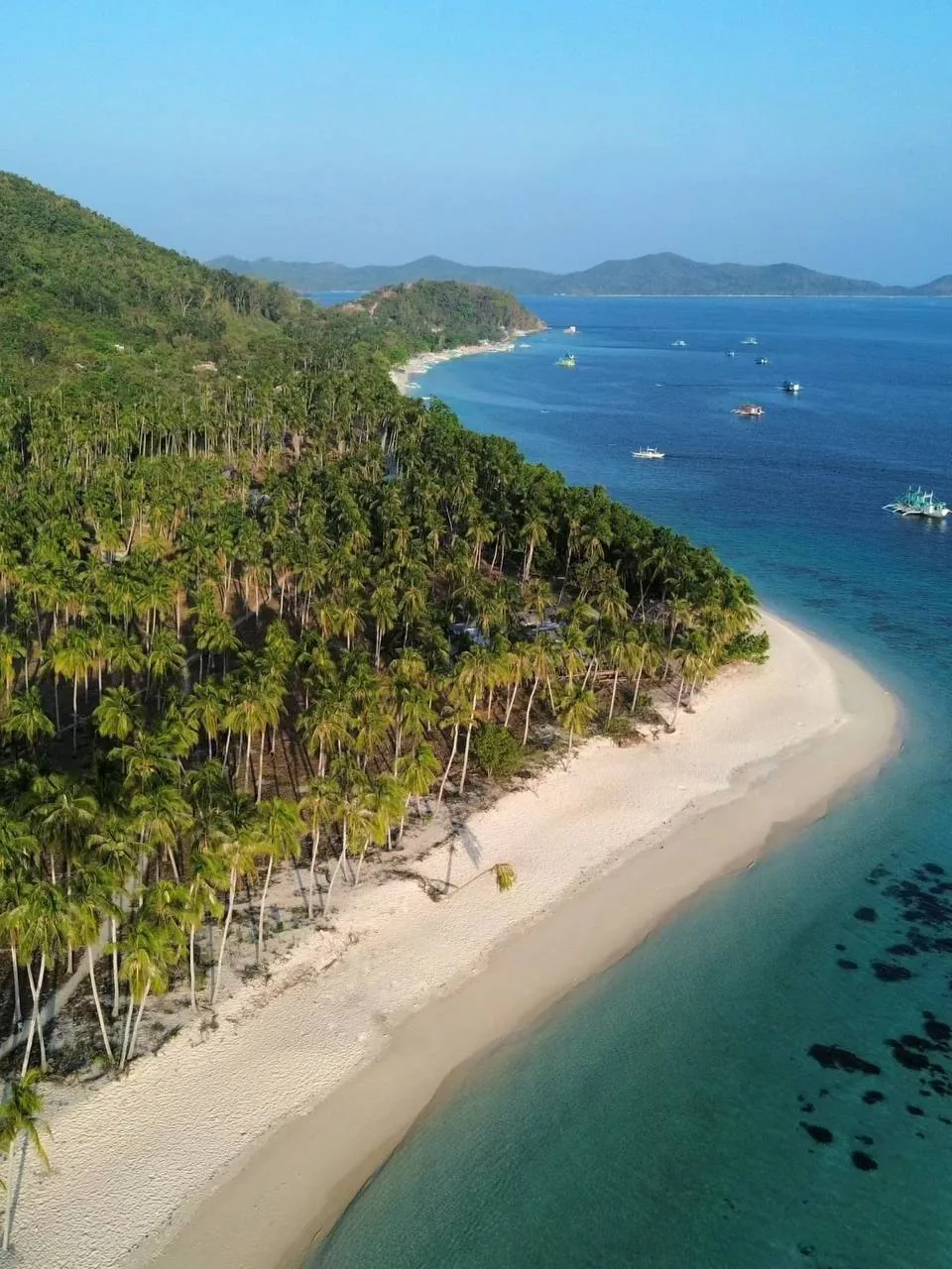 Aerial view of Palawan's lush island coast