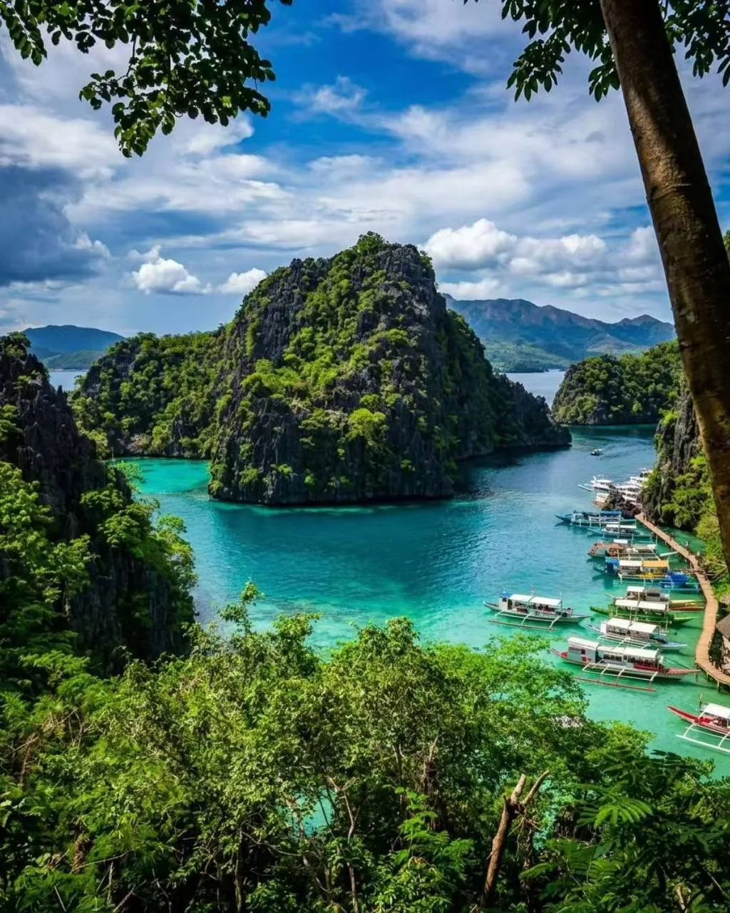 Tropical bay with boats docked among green cliffs