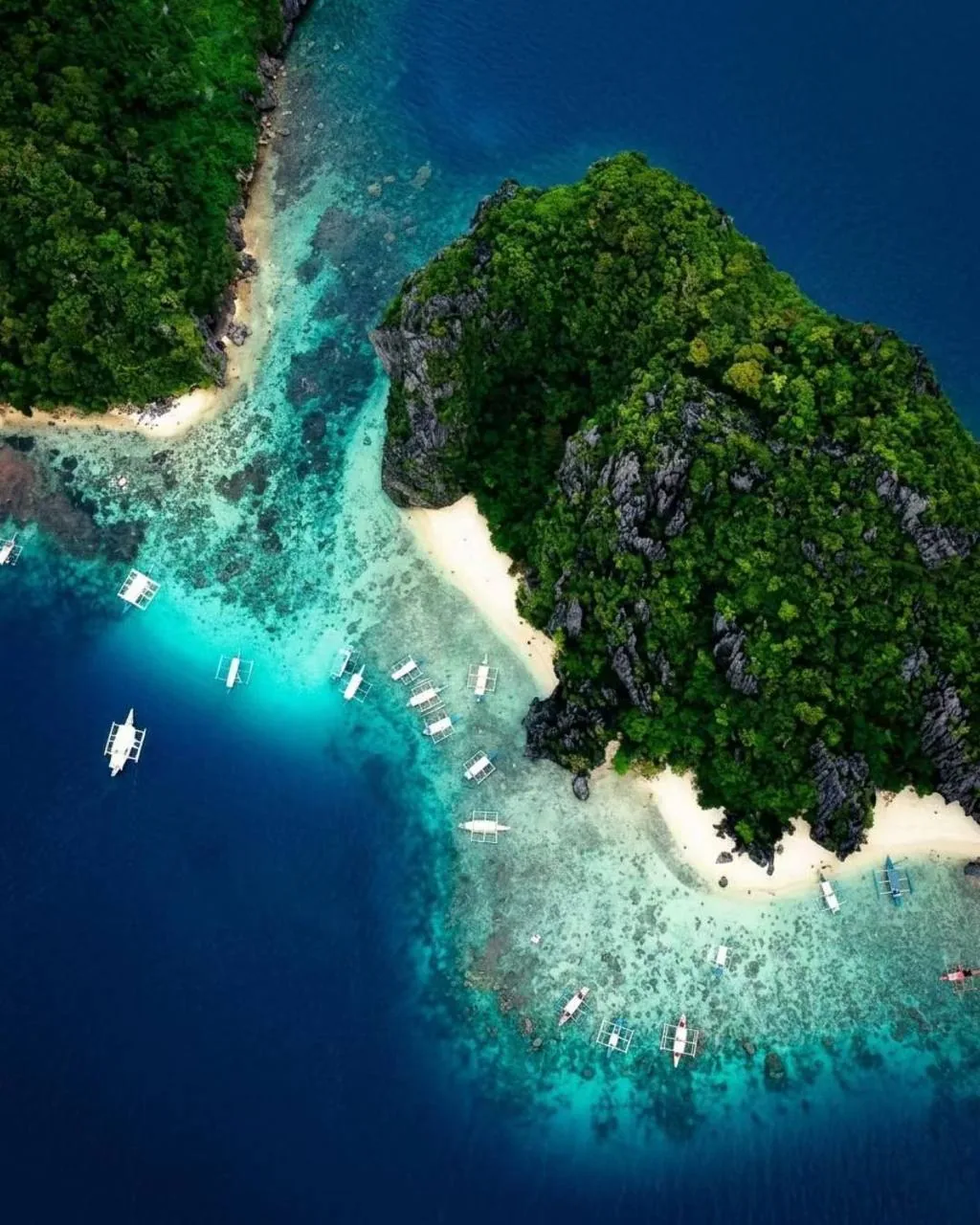 Aerial view of a forested island in Palawan